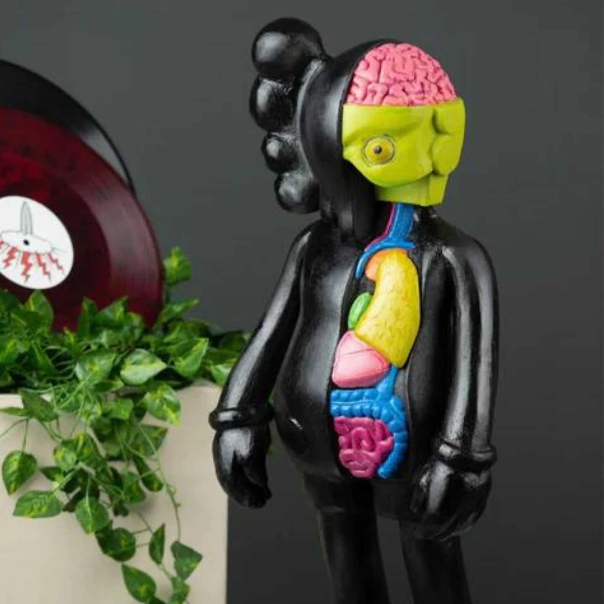 Half Anatomy. 24in. Limited 50 pcs